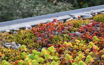 the cost of Port Of Menteith green roof installation