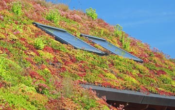 Port Of Menteith living roof systems