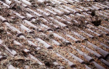 Port Of Menteith roof cleaning companies