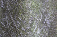 Port Of Menteith fibreglass roof work